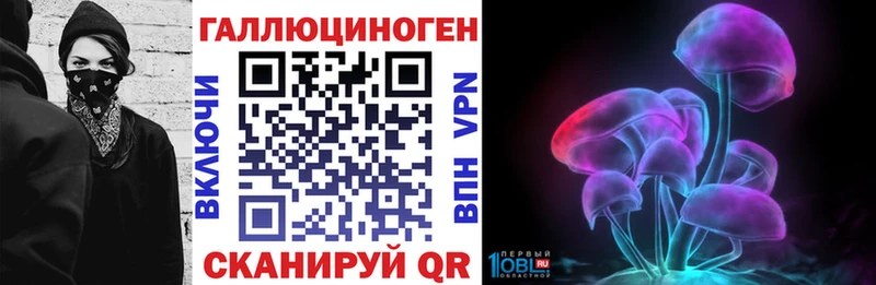 Галлюциногенные грибы Psilocybe  купить наркотик  Нарткала 