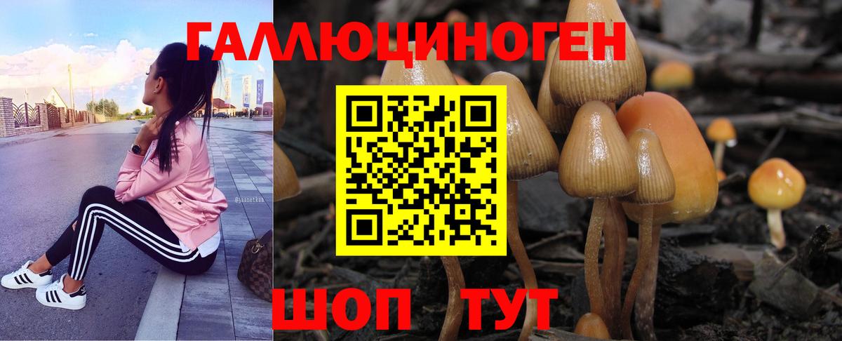 Псилоцибиновые грибы Magic Shrooms Нарткала