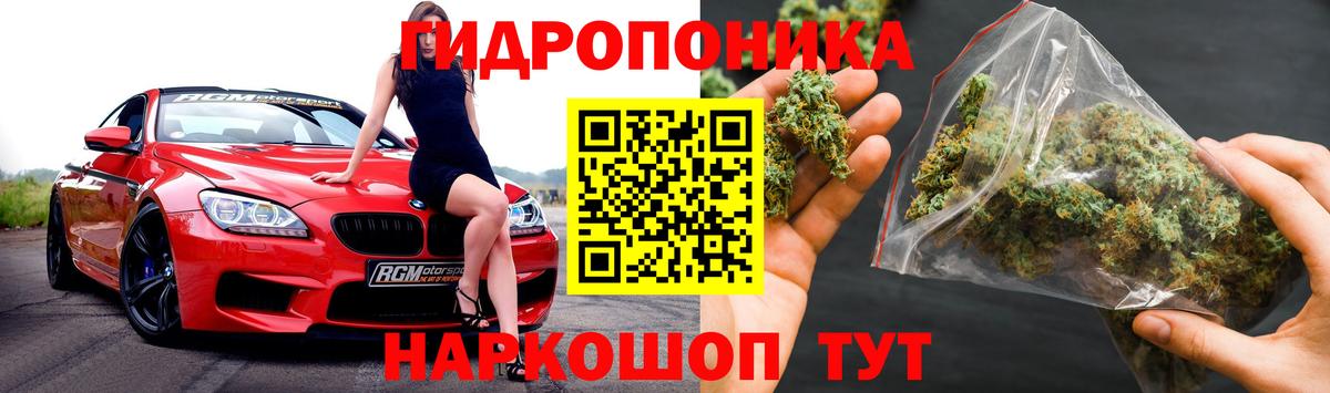Канабис семена  Конопля White Widow  Вход с VPN  Нарткала  Конопля сатива 